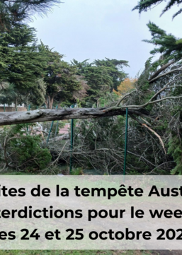 Tempete Austen
