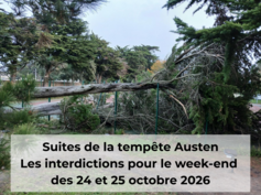 Tempete Austen