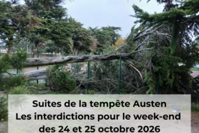 Tempete Austen